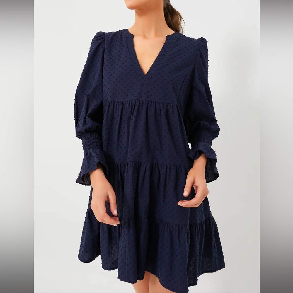 Pomander Place Navy Swiss Dot Kenzo Dress
